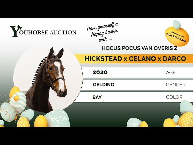 Hocus Pocus Van Overis Z tryout