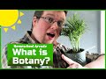 What Is Botany Botany Jobs Classifications Famous Botanists