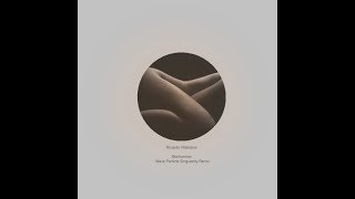 Ricardo Villalobos - Skinfummel (Wave Particle Singularity Remix)