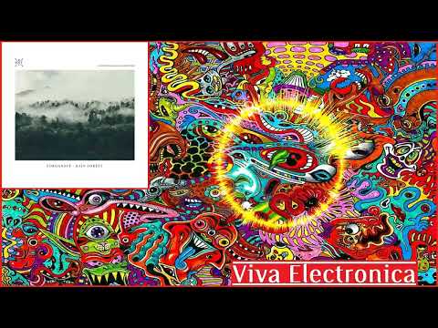 Yordanoff - Rain Forest (Original Mix) [STIG] (HQ)