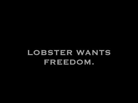 Lobster - Trailer