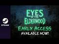 Gameplay video of Eyes of the ElderWood  PC