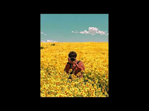 [FREE FOR PROFIT] Avicii, Morgan Wallen x Shaboozey Country Type Beat "Nobody"