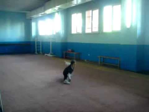 wushu changuan 32 form elif düdükcü