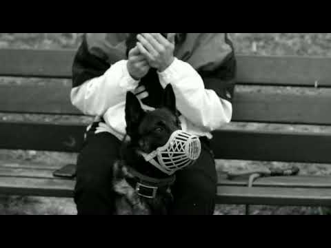 Danny - PUB🔞 (ONESHOT)