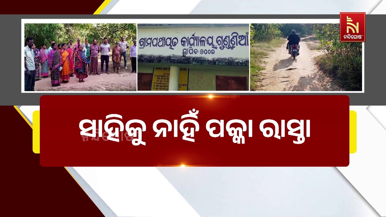 ସାହିକୁ ନାହିଁ ପକ୍କା ରାସ୍ତା l କାଜୁ ଜଙ୍ଗଲରେ ଯିବାକୁ ବାଧ୍?