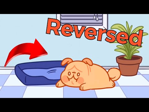 Oh Potato Dog But Reversed