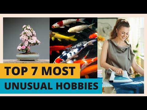 Top 7 Most Unusual Hobbies in the World