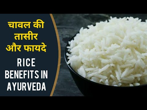 download lagu mp3 mp4 Ayurvedic Rice, download lagu Ayurvedic Rice gratis, unduh video klip Ayurvedic Rice