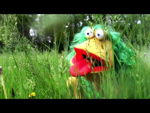 Ongelofelijke Herrie | Videoclip Raar maar waar | Loop je mee?