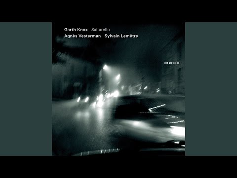 Vivaldi: Viola d'amore Concerto in D Minor, RV 393 (Arr. for Viola d'amore & Cello) : I. Allegro