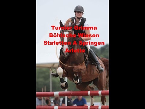 Stafettenspringprüfung Klasse A auf dem Turnier in Grimma