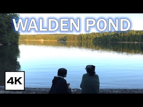 Walden Pond · Cabin by Henry David Thoreau · 4K