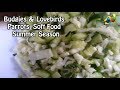 Budgies Lovebirds Parrots Best Soft Food For Summer Season Urdu Hindi