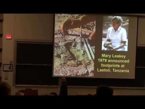 Michael Cremo - Forbidden Archeology