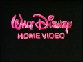 Opening To Winnie The Pooh And Tigger Too VHS