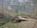 Fire In The Village Near Tula Russia