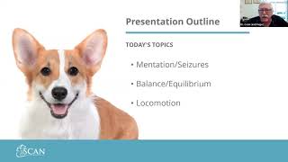 A Better Understanding of Neurological Disease in Senior Dogs with Dr. Jim Cook