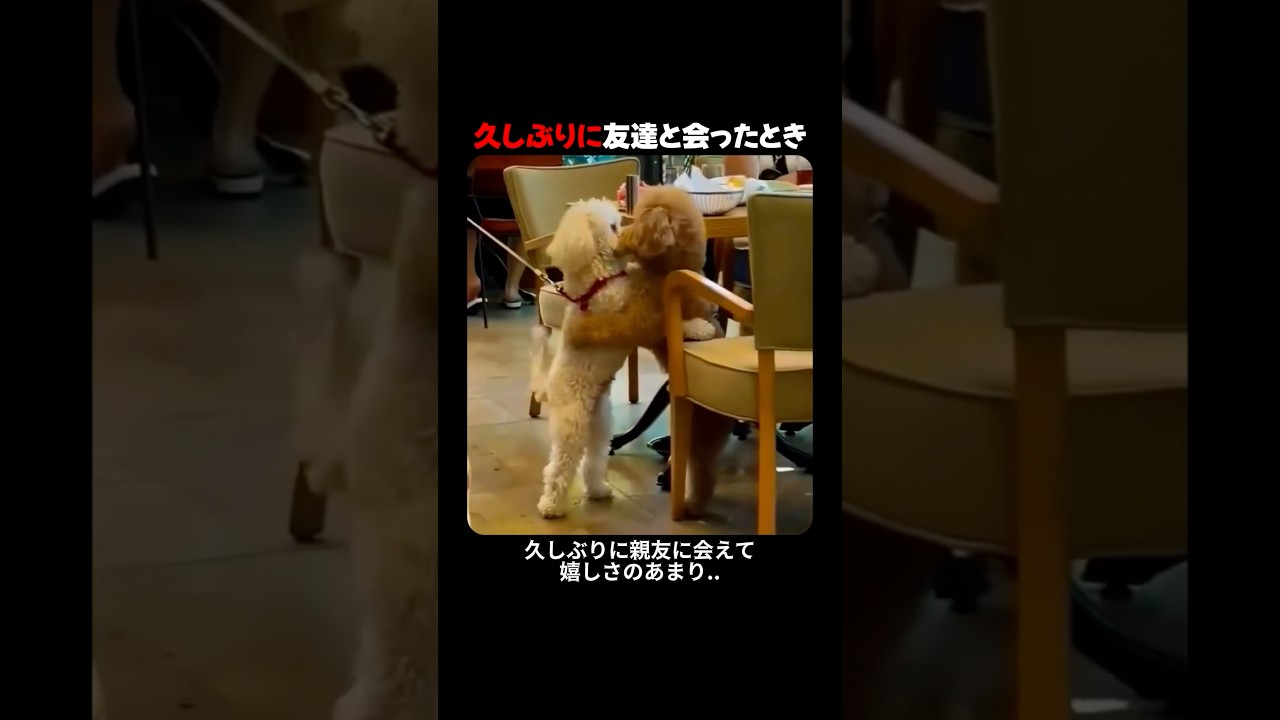 久しぶりに友達と会ったとき