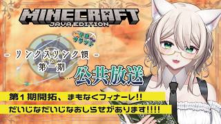 【リンクスリンク領 公共放送#3】第1期まもなく完🌟公共導線最適化の進捗とお知らせ！