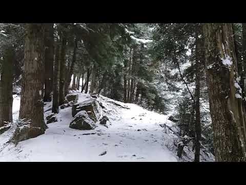 Ianuarie 2018  Andreiasu de Sus ❄❄❄