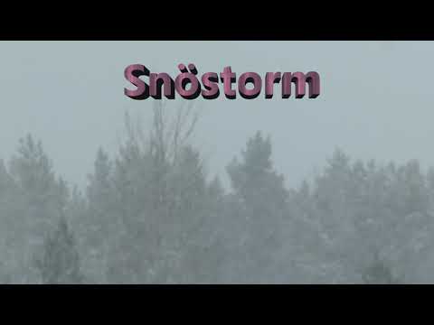 Snöstorm, Gävle