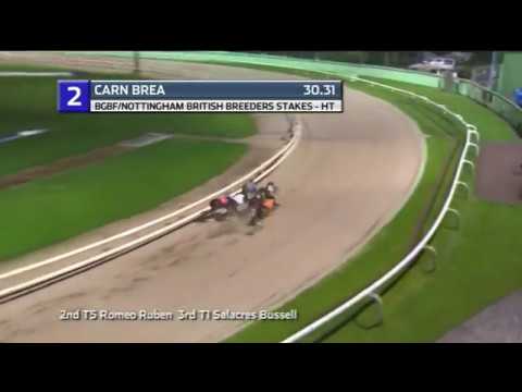 2019 BGBF BRITISH BREEDERS STAKES - HEAT 4 - T2 CARN BREA