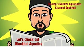 Channel Spotlight #3