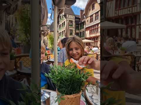 FABULOUS CITY TROYES 😍🍾👍#francetravel #Troyes #Champagne