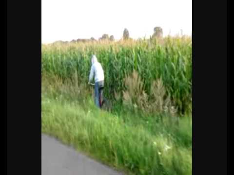 Kur*a Moje Pole 
