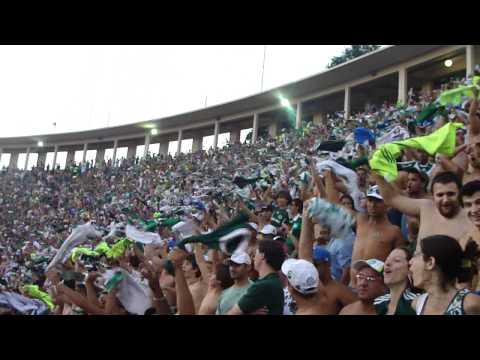 CHIQUEIRO - MANCHA VERDE