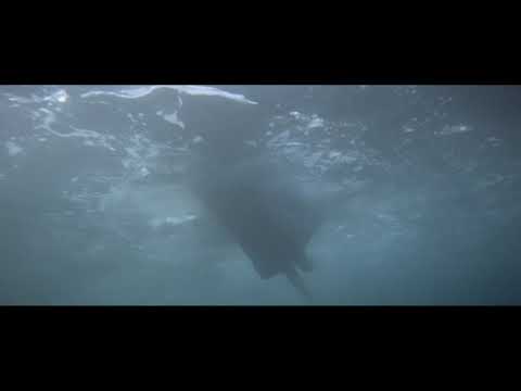 Jaws - Leitmotiv