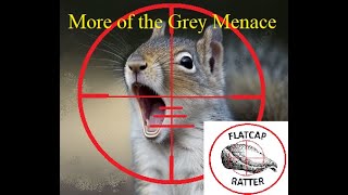 More of the Grey Menace