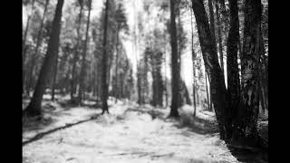 Tre di tre (Marlene Kuntz, 1996) - cover