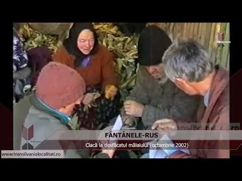 FÂNTÂNELE-RUS SJ (2002) - Clacă la desfăcatul mălaiului