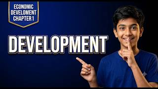DEVELOPMENT | The Engineer Owl
