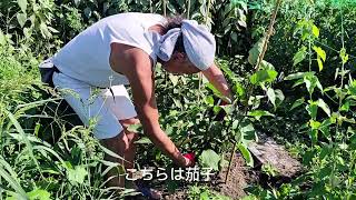 奥山ファーム公開2025.8