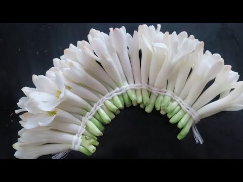 How to stering sampangi flowers||easy to make sampangi flowers garland
