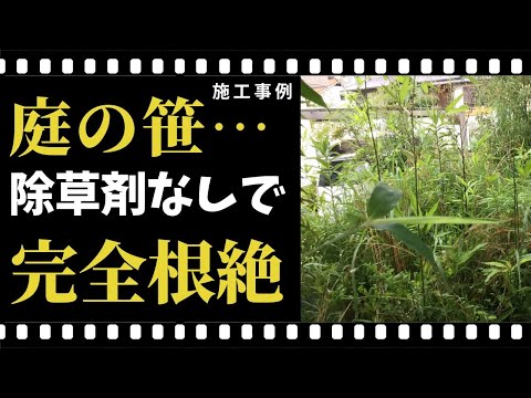 スラブ間の雑草を取り除く 除草機の刃を使用する モルタルの接合部を破壊する