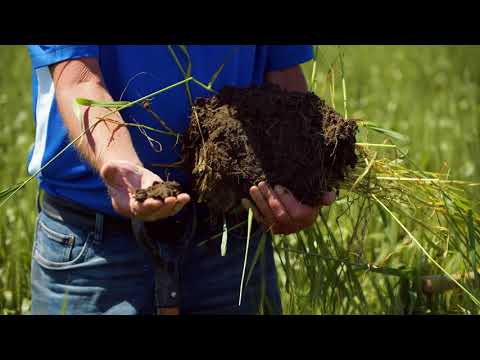 Crop Rotation Involving 80% High Residue Crops