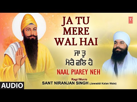JA TU MERE WAL HAI I SANT NIRANJAN SINGH I SHABAD GURBANI I NAAL PIAREY NEH VOL.6