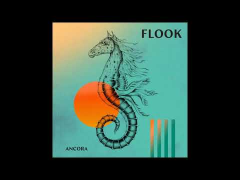 Flook - The Crystal Year / Foxes' Rock