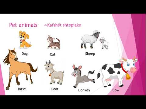 Parafillor - Wild Animals and Pet Animals - Kafshet e egra dhe kafshet shtepiake ne Gjuhen Angleze