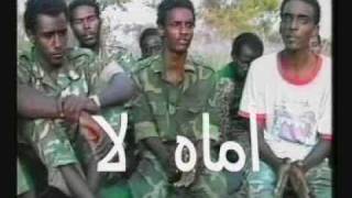 أماه لا تجزعي فرقة الصحوة