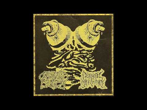 Gorgonized Dorks - 6 Untitled Tracks