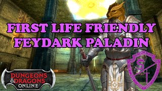 [DDO] Big Sword Big Damage Charisma Paladin