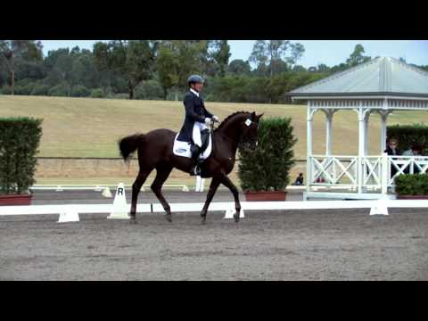 CDI 2016 - Heath Ryan & Utopian Cardinal 6th in the Pryde's Easifeed Grand Prix