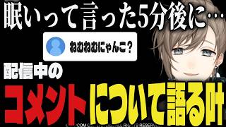 【まとめ】最近のコメント欄について話す叶【切り抜き/叶/にじさんじ/スト6】