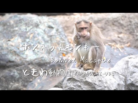 情報アイコン.svg
