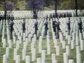 War Pigs War Footage